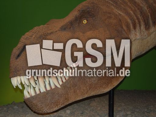 Tyrannosaurus rex 1.jpg